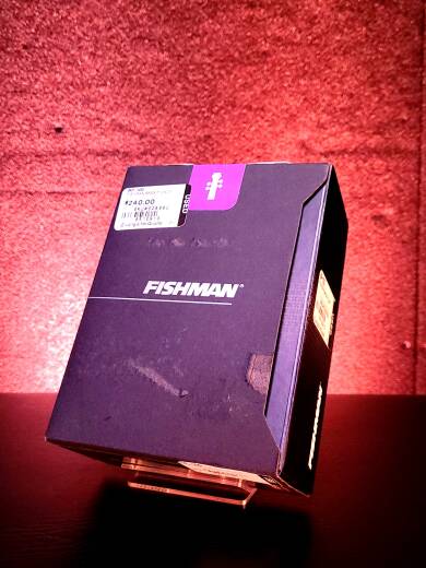 Fishman BP-100 Bass Pick Up | Long & McQuade